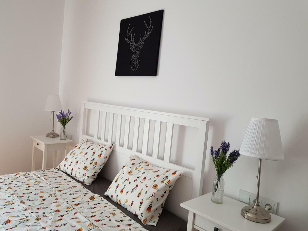 Oberiter Apartments - Center Of Zagreb, Fast Wifi, Ac, Kitchen, Parking ภายนอก รูปภาพ